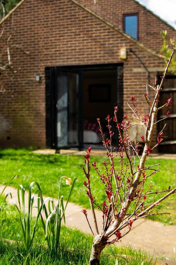 The Mills Guesthouse Hatfield  Kültér fotó